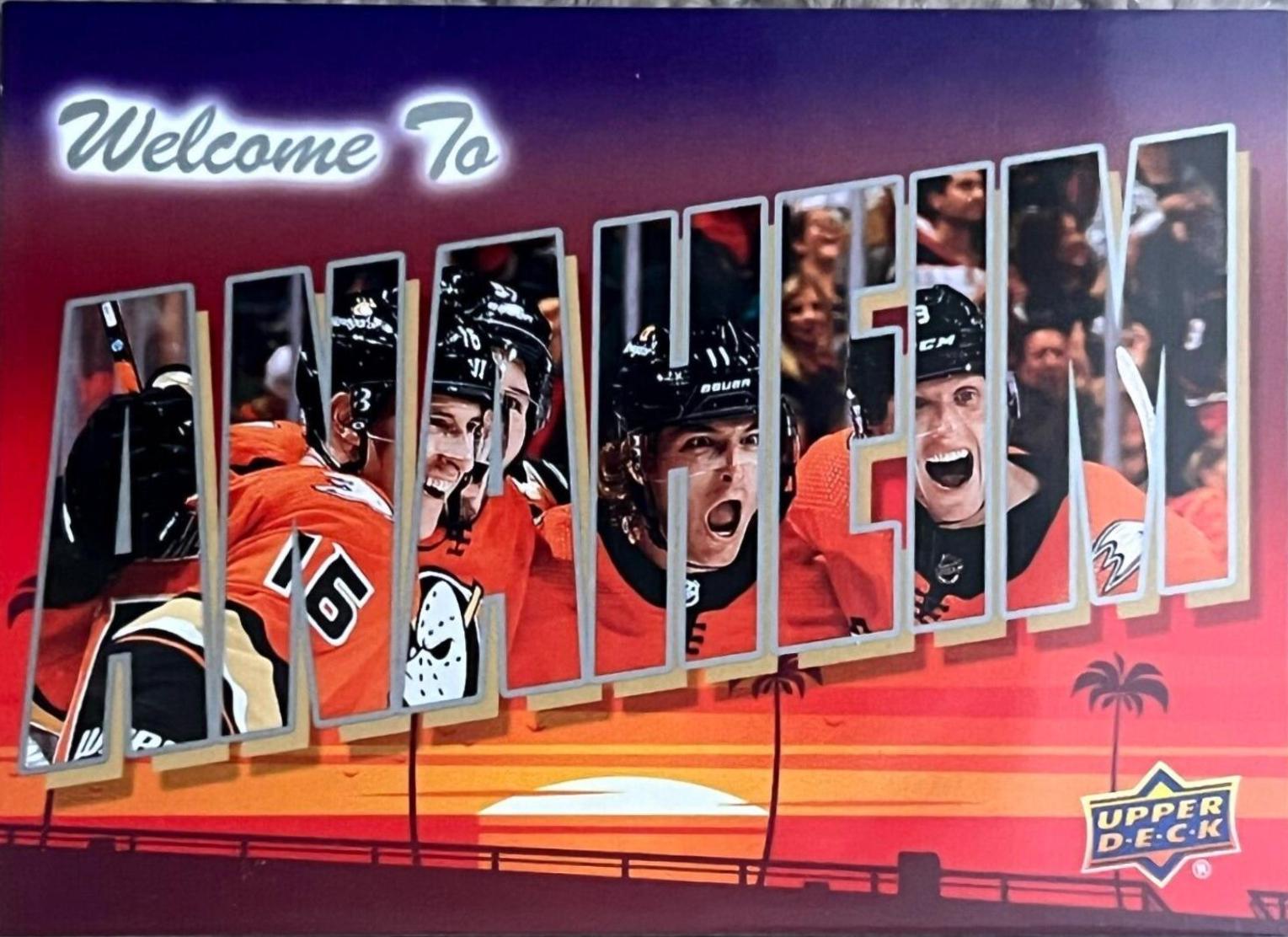 Anaheim Ducks #WT-1