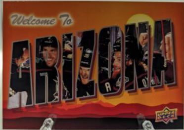 Arizona Coyotes #WT-2
