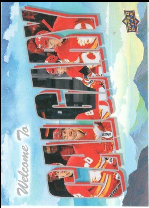 Calgary Flames #WT-5