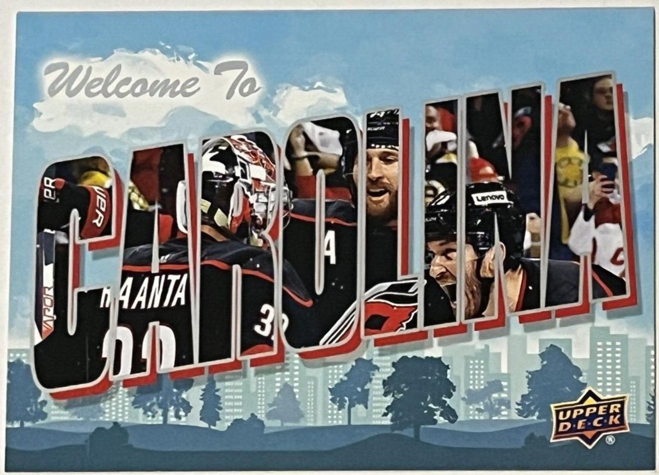 Carolina Hurricanes #WT-6