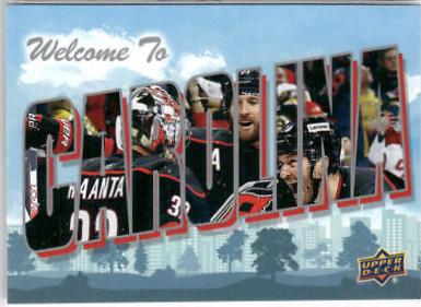 Carolina Hurricanes [Gold] #WT-6