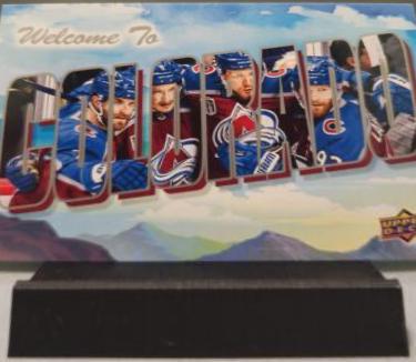 Colorado Avalanche #WT-8