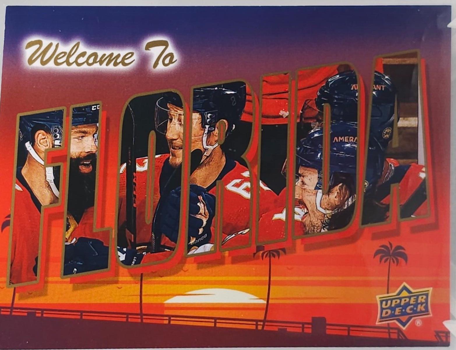 Florida Panthers [Gold] #WT-13