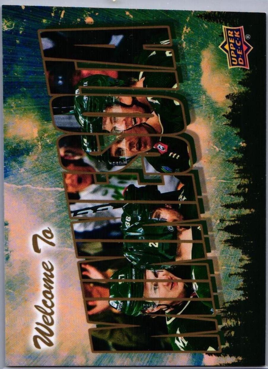 Minnesota Wild [Gold] #WT-15
