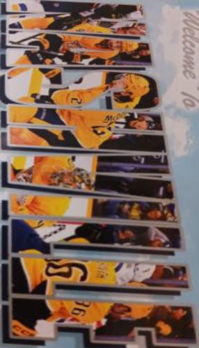 Nashville Predators #WT-17