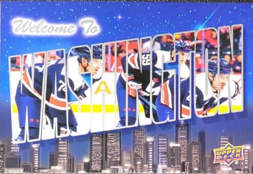Washington Capitals #WT-31