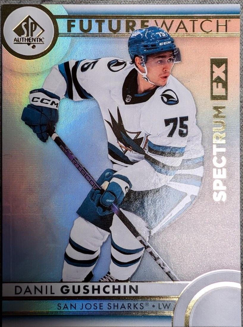 Danil Gushchin [Tier 1] #S-55