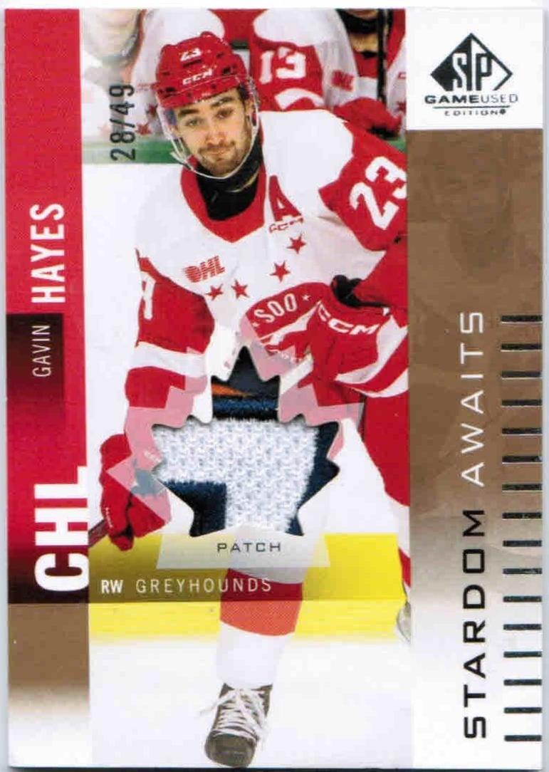 Gavin Hayes [Patch] #SA-GH