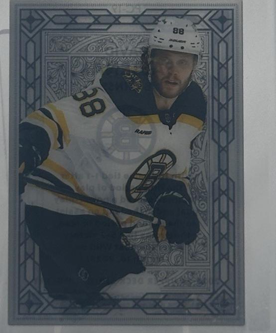 David Pastrnak #PC-19