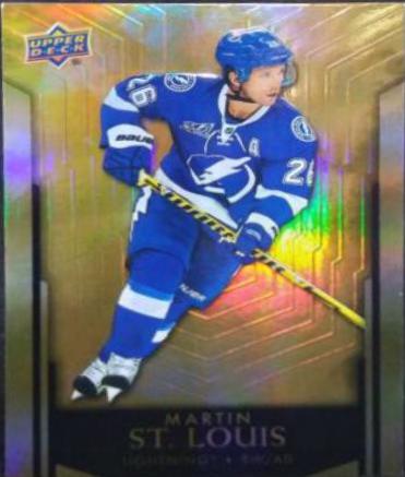Martin St. Louis #73