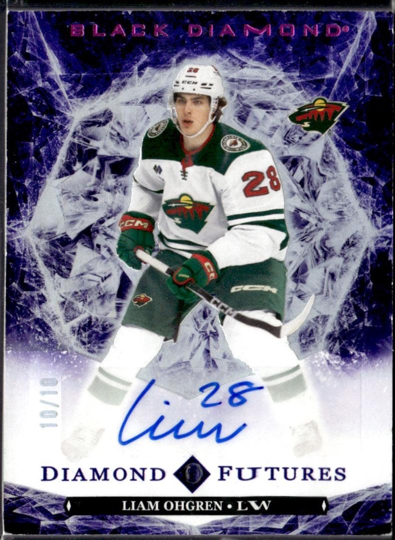 Liam Ohgren [Purple Diamond Relic] #BDF-LO