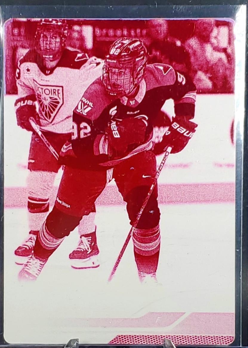 Danielle Serdachny [Printing Plate] #66