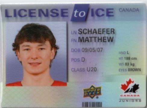Matthew Schaefer #LI-8