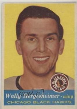 Wally Hergesheimer #33