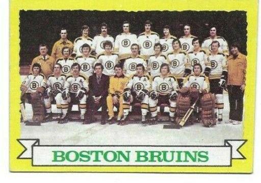 Bruins Team #93