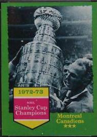 Stanley Cup Champs #198