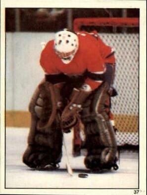Rick Wamsley #37