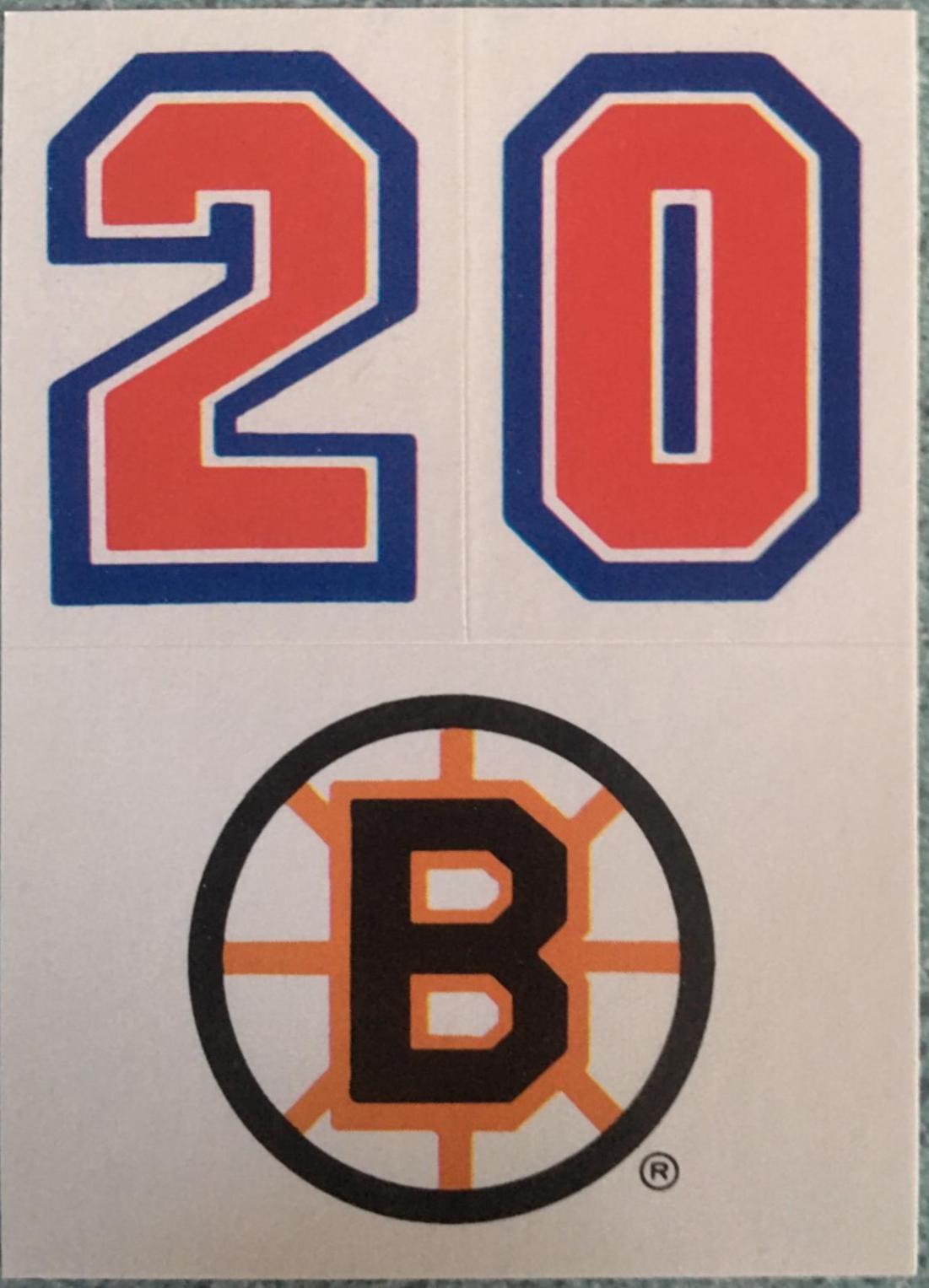Boston Bruins #31