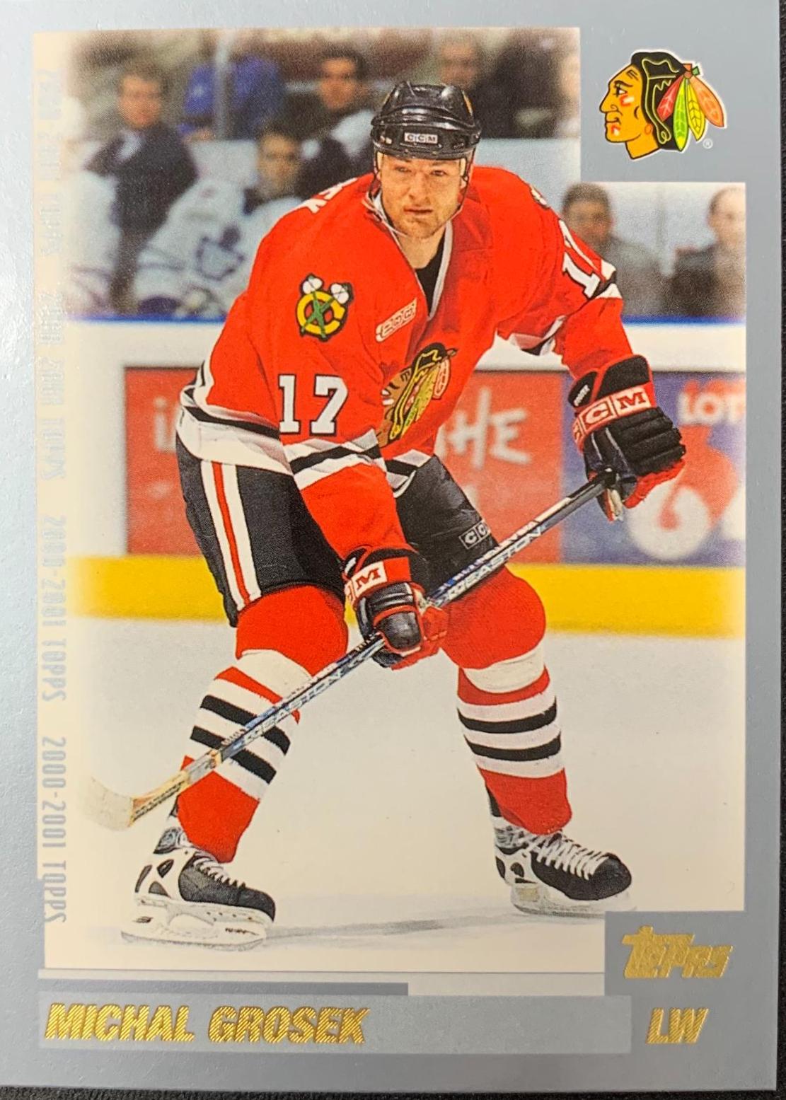 Michal Grosek #255