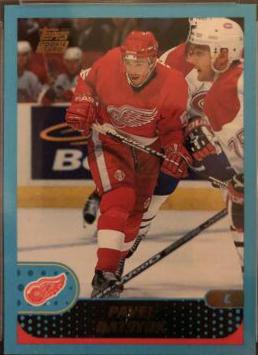 Pavel Datsyuk #349
