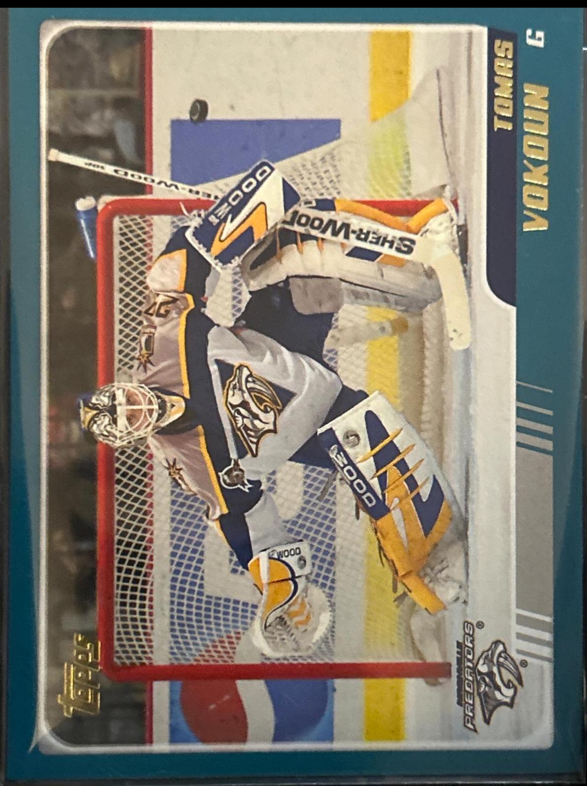 Tomas Vokoun #230
