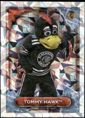 Tommy Hawk #152