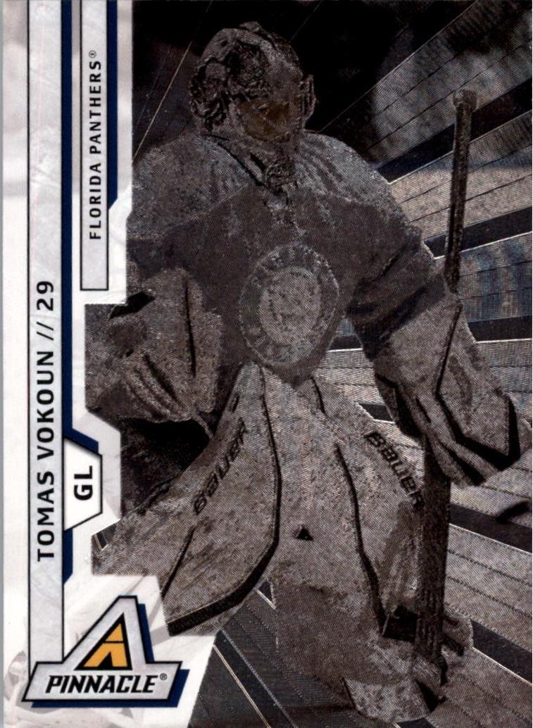 Tomas Vokoun [Rink Collection] #112
