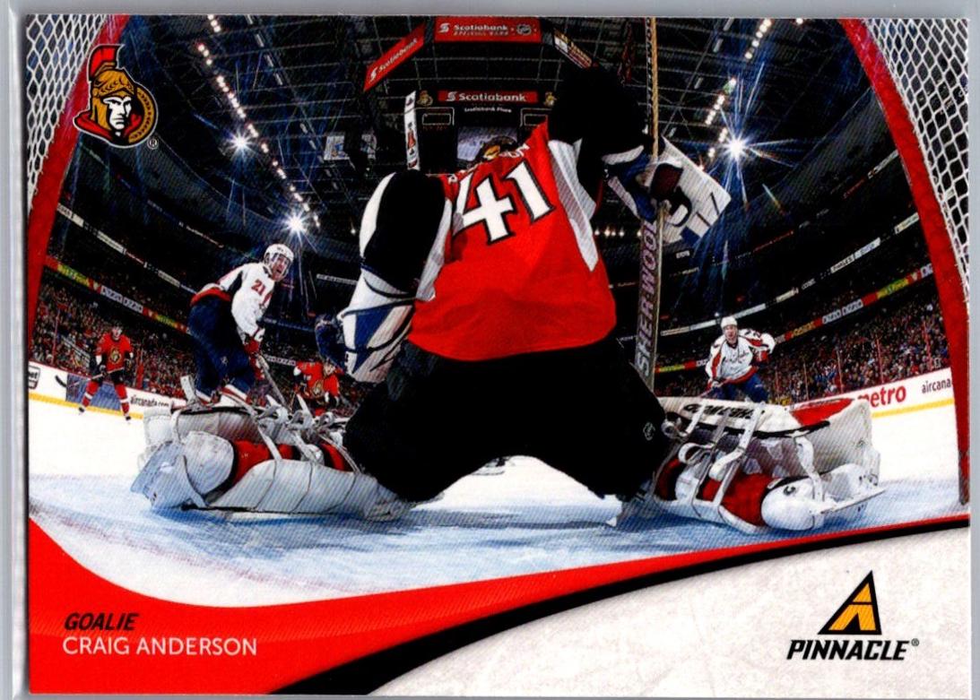 Craig Anderson #198