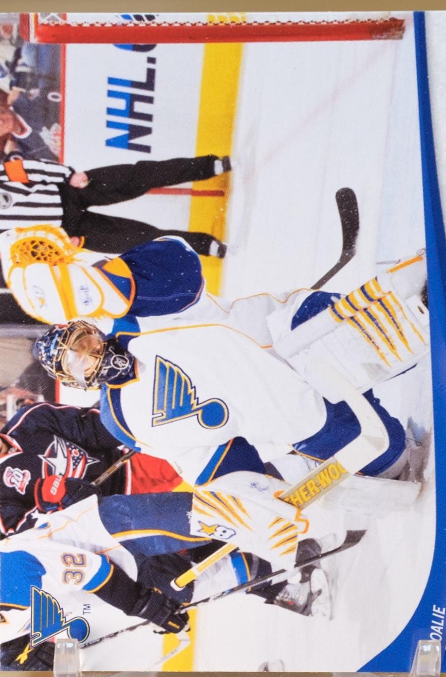 Jaroslav Halak #41