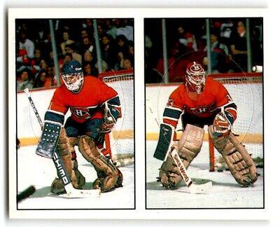 Brian Hayward, Patrick Roy #376