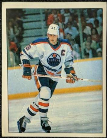 Wayne Gretzky #371