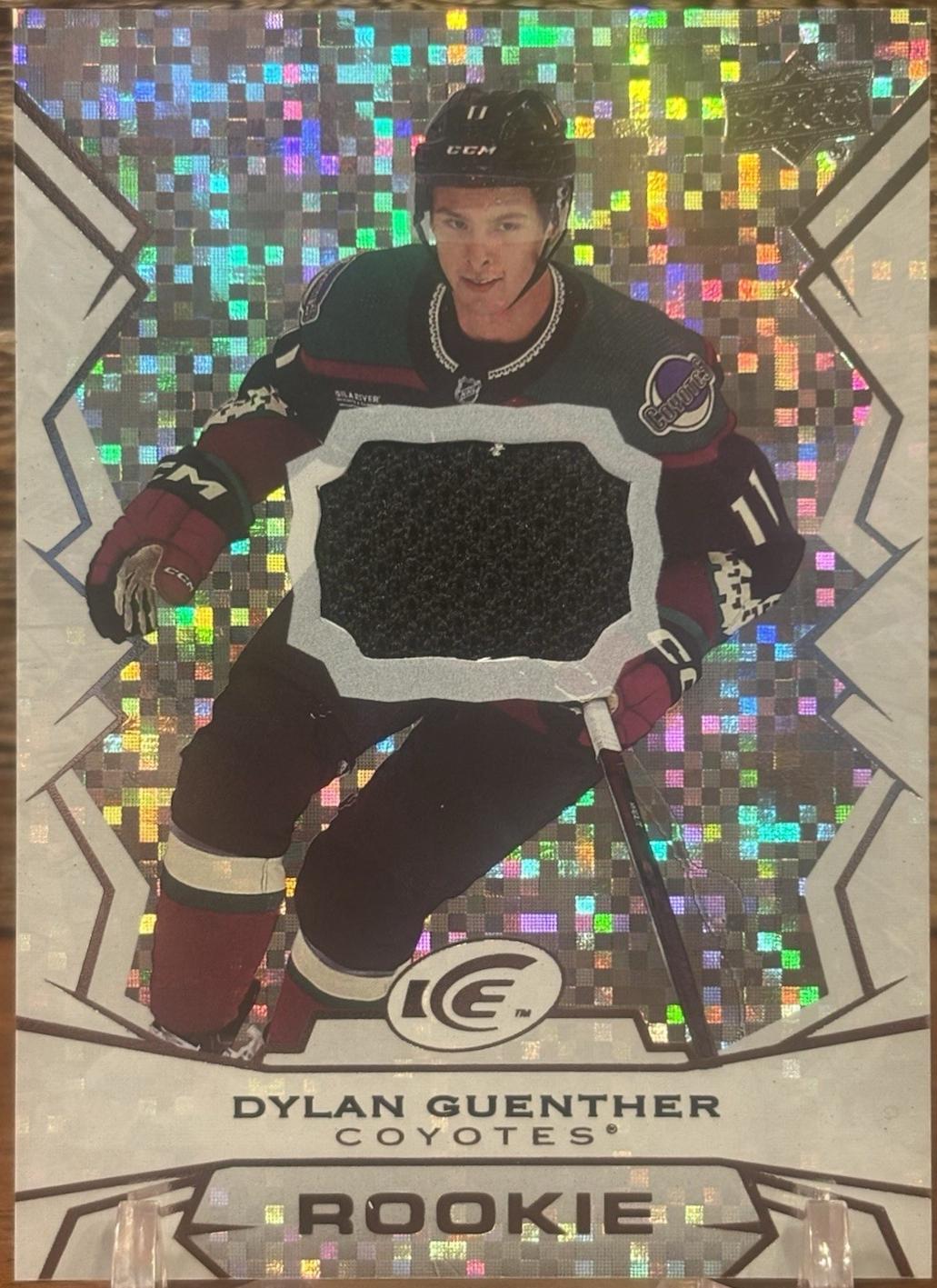 Dylan Guenther #114