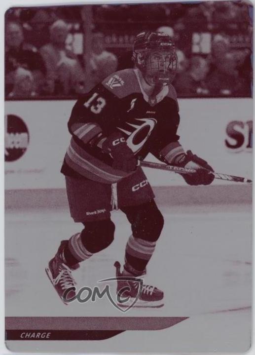 Tereza Vanisova [Printing Plate] #31