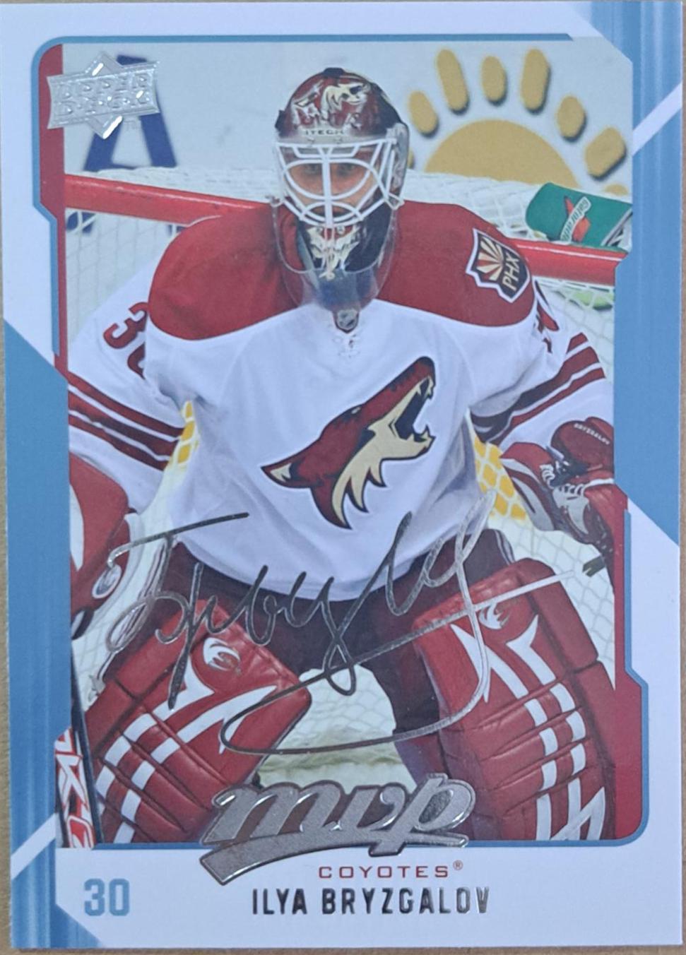 Ilya Bryzgalov #221