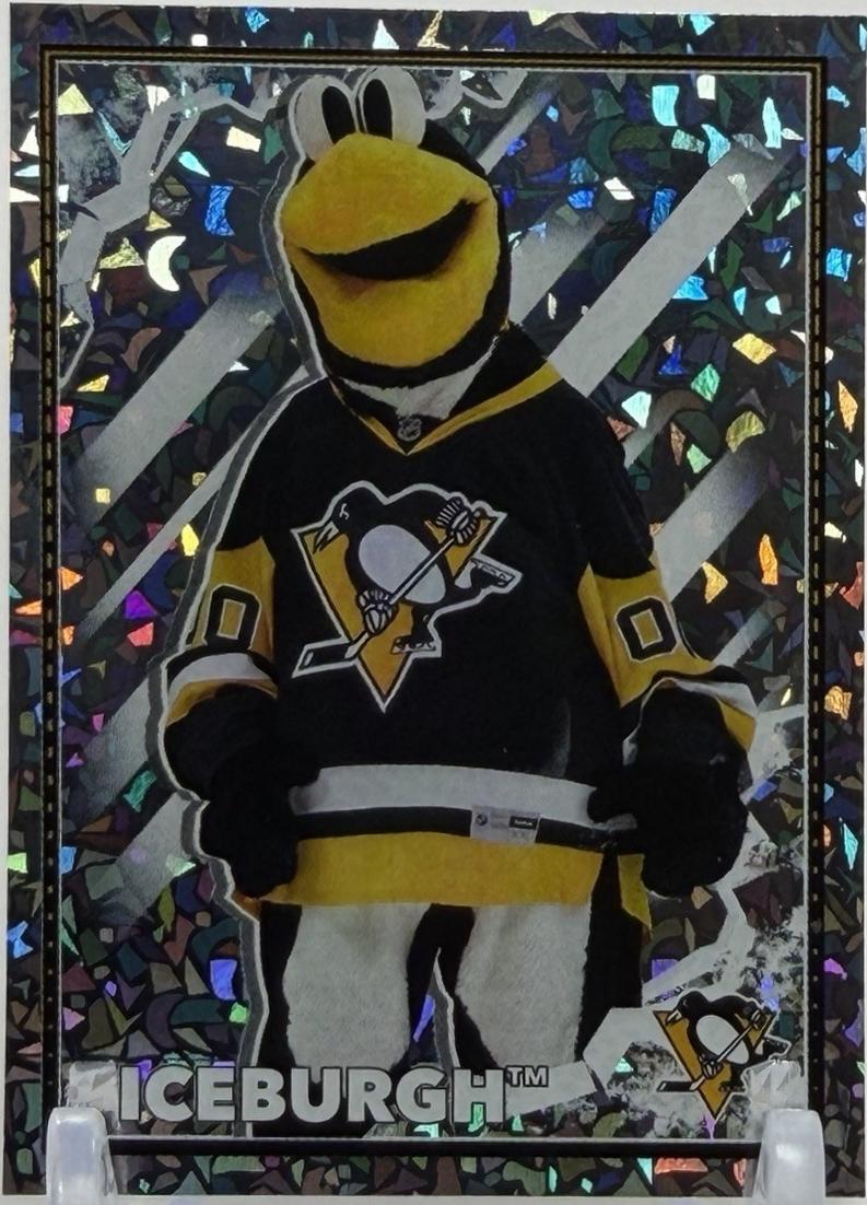 Iceburgh #377