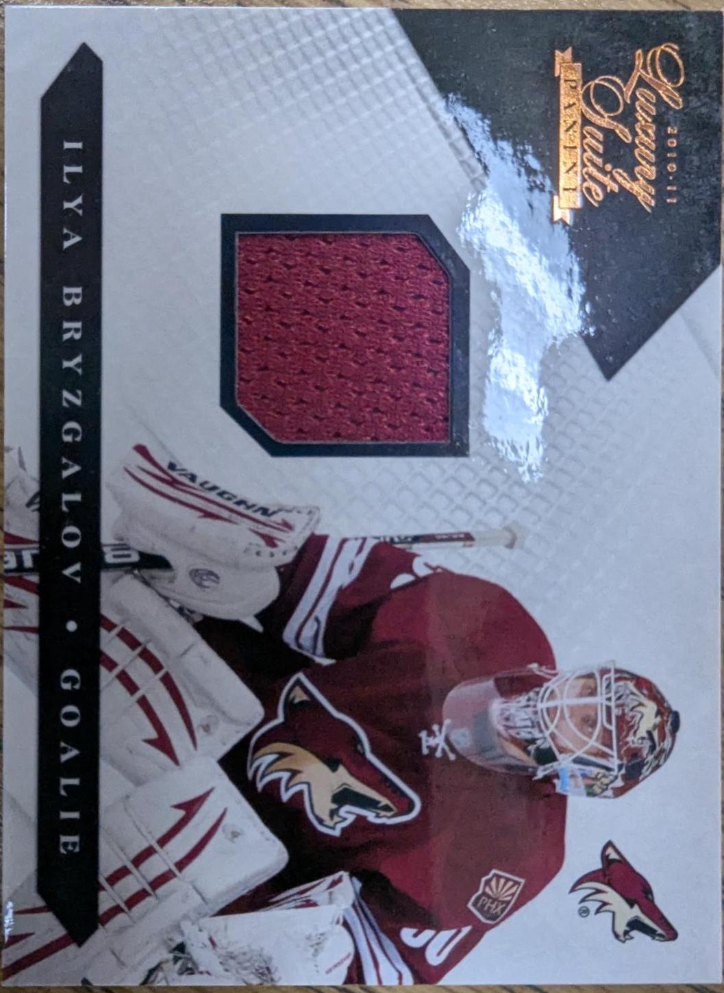 Ilya Bryzgalov #53