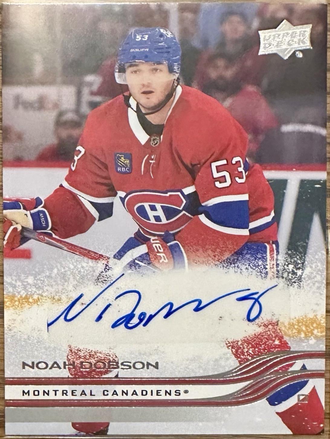 Noah Dobson [Snow Spray Autograph] #566
