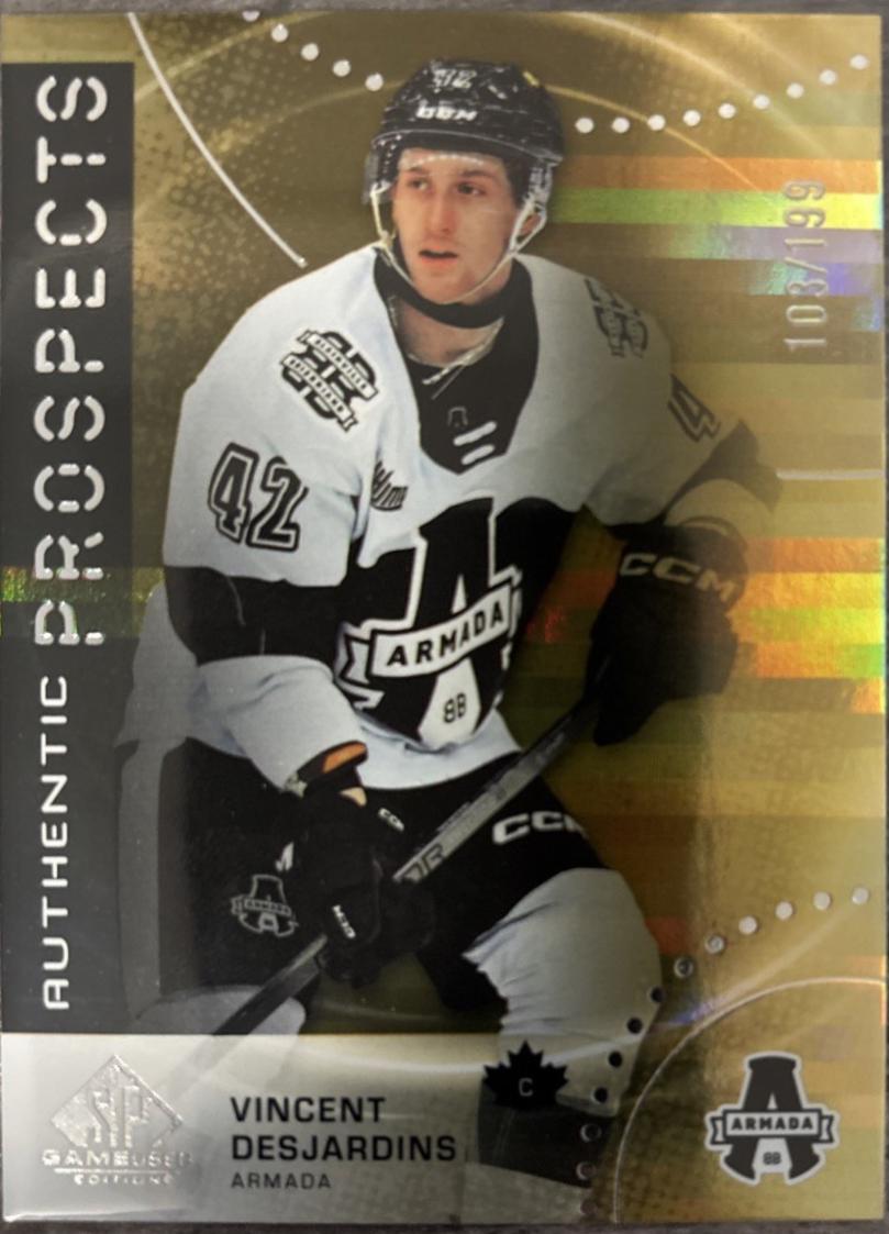 Vincent Desjardins [Orange Foilboard] #20