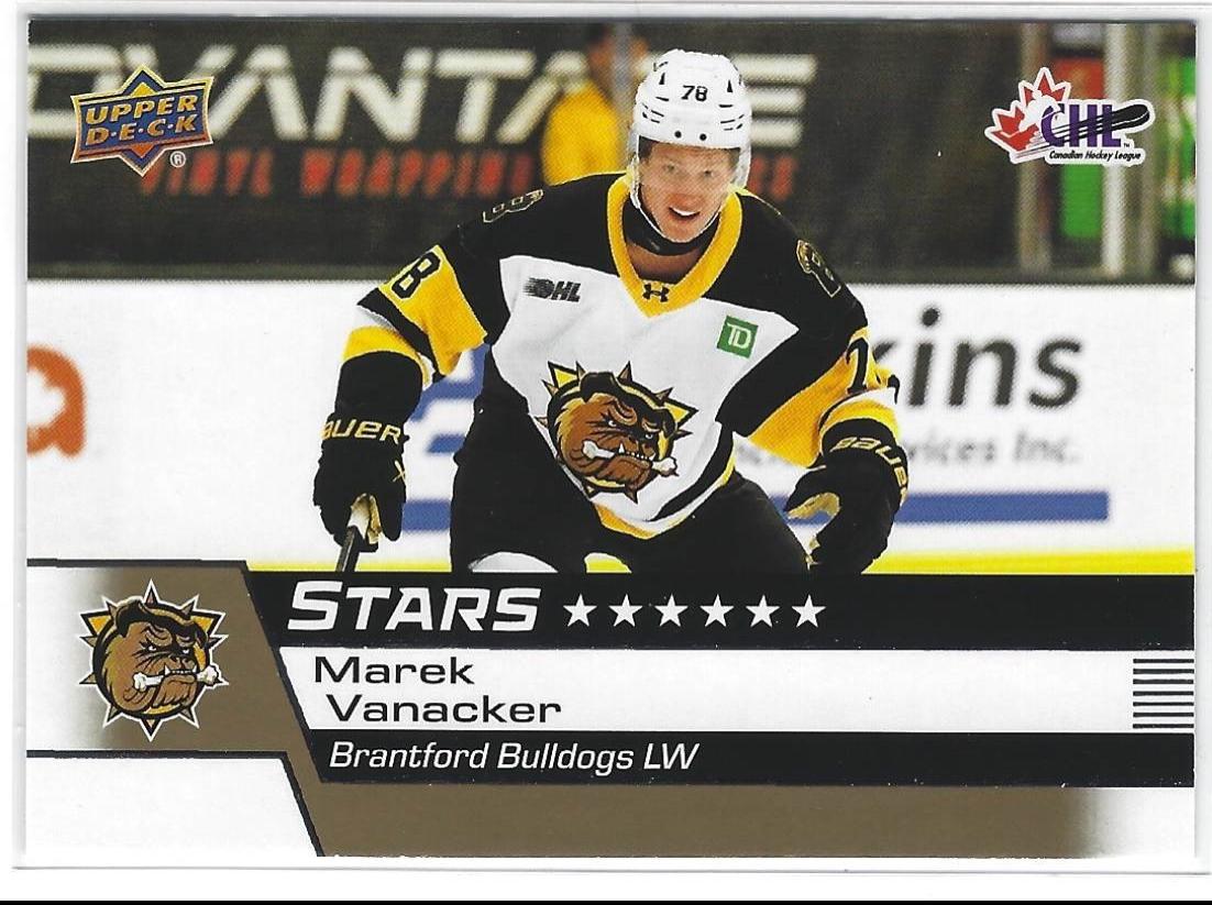Marek Vanacker [Gold] #324