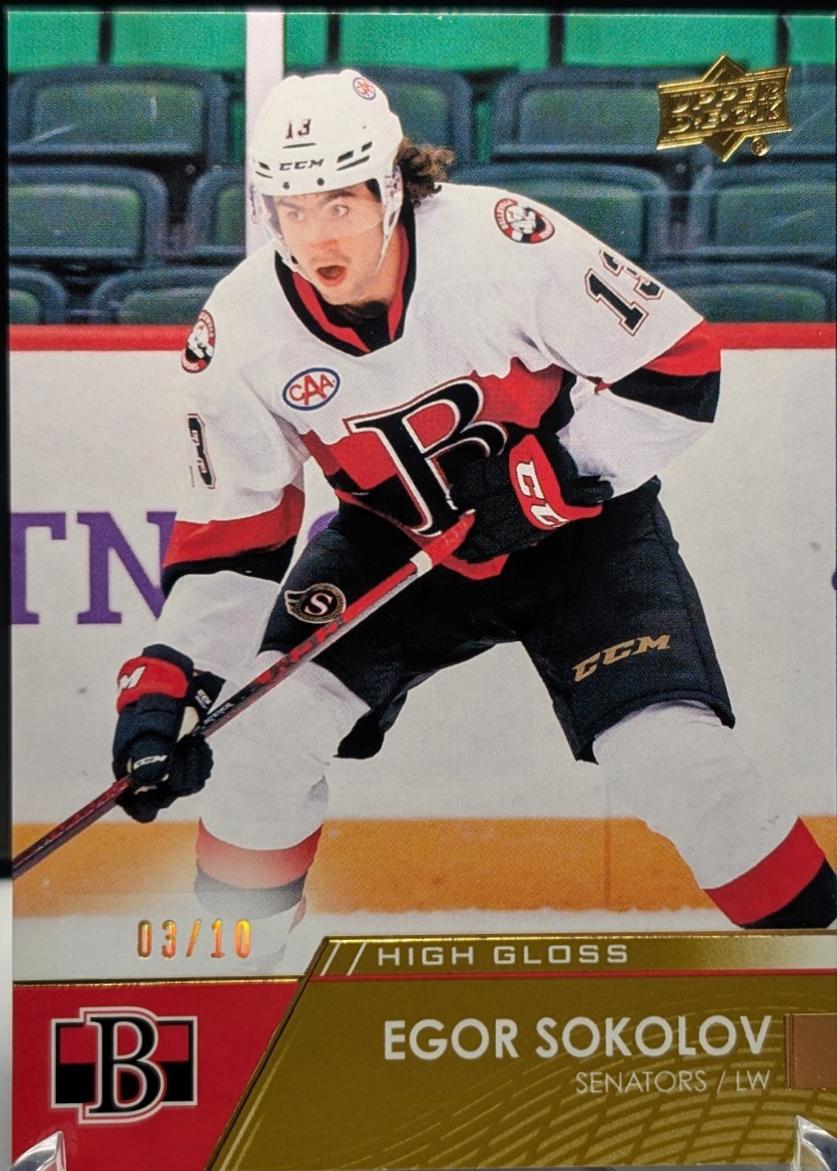 Egor Sokolov [High Gloss] #28