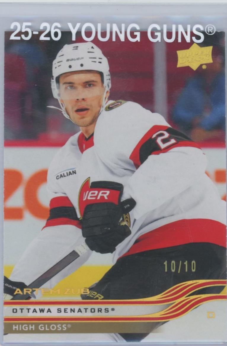 Artem Zub [High Gloss] #120