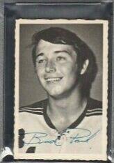 Brad Park #43