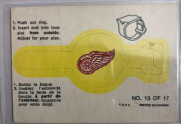 Detroit Red Wings #13