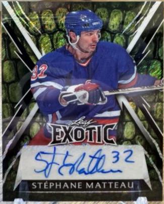 Stephane Matteau [Alligator] #E-SM2