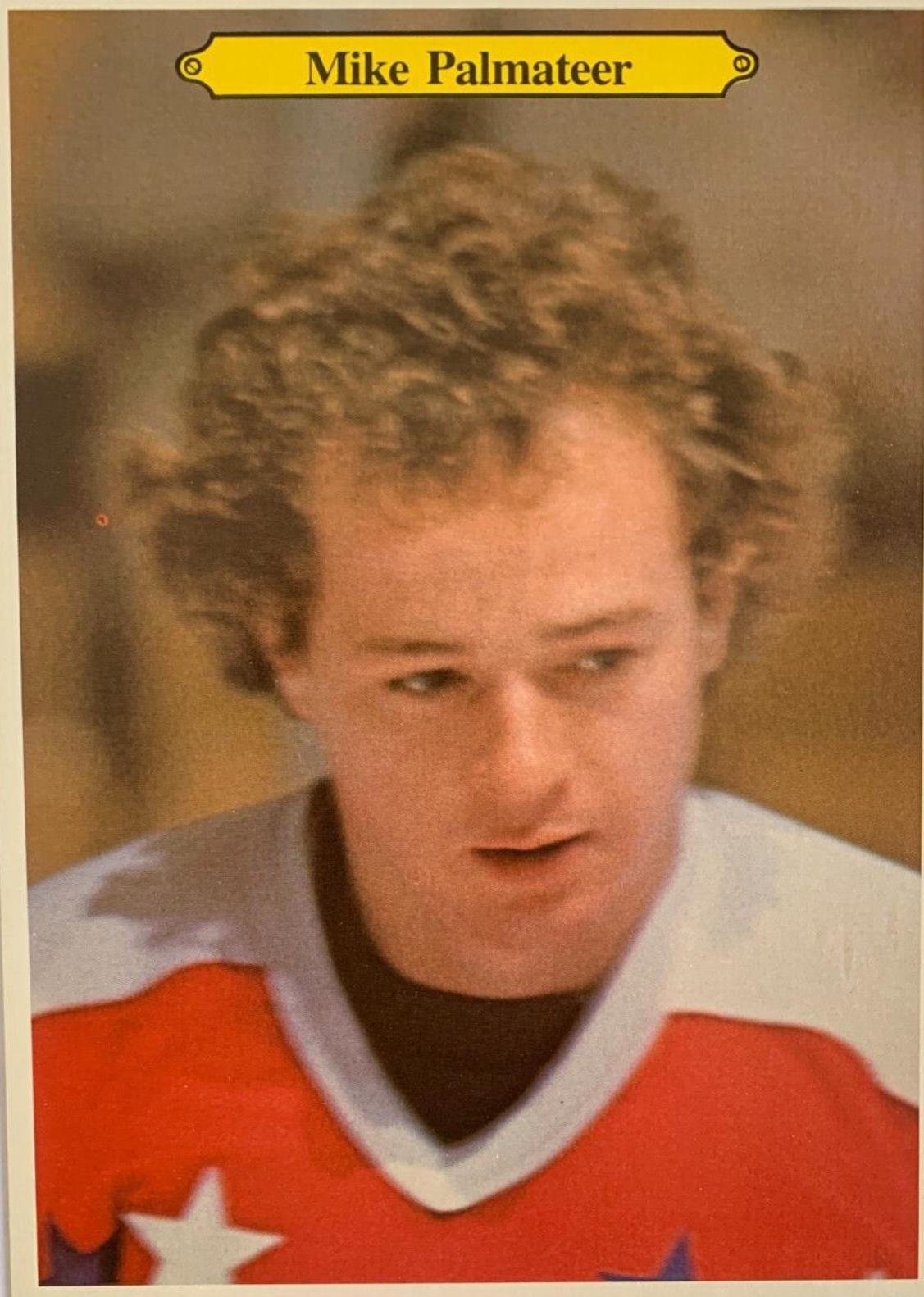 Mike Palmateer #23