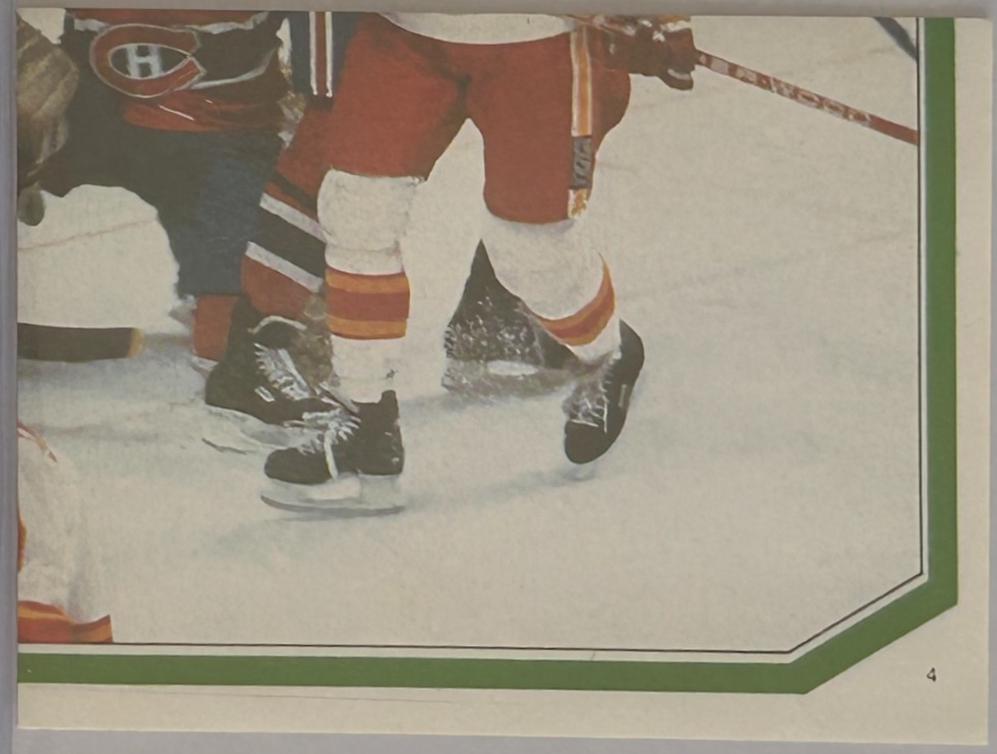 Stanley Cup Action #4