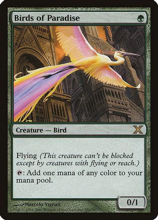 Birds of Paradise [Foil]