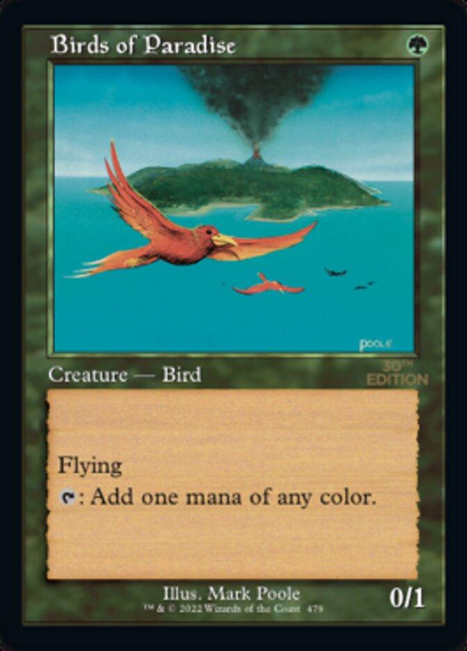 Birds of Paradise #479