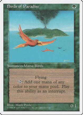 Birds of Paradise