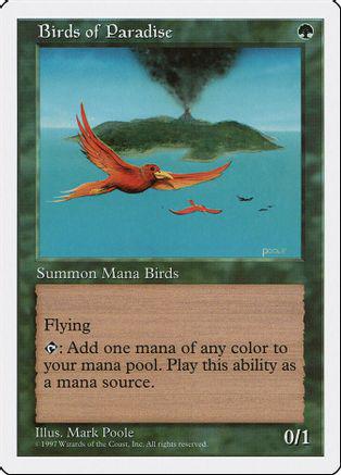 Birds of Paradise